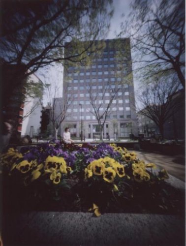 pinhole photograph