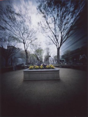 pinhole photograph