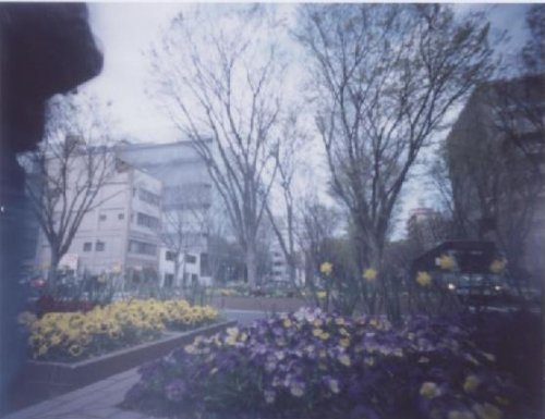 pinhole photograph