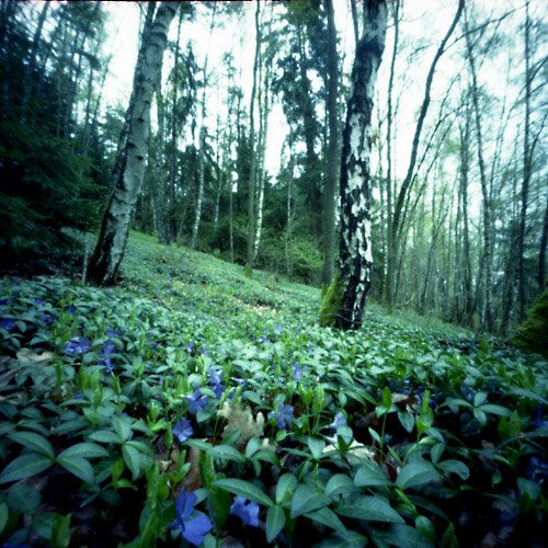 pinhole photograph