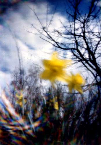 pinhole photograph