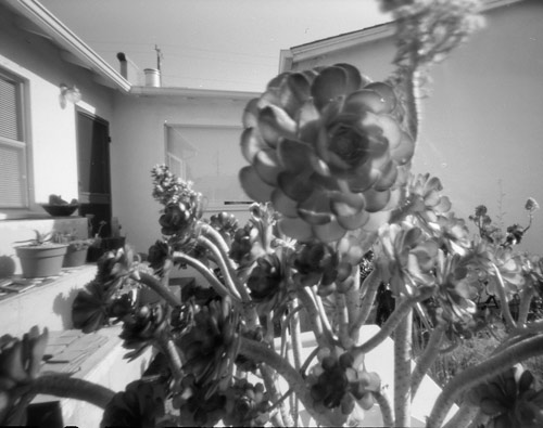 pinhole photograph