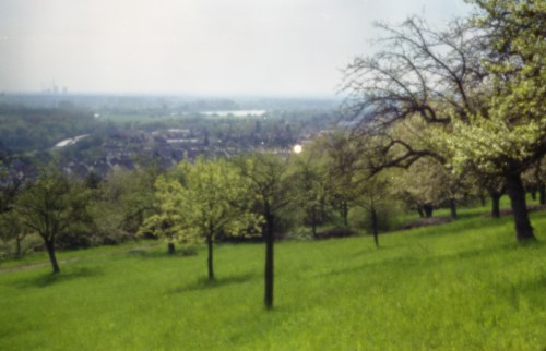 pinhole photograph