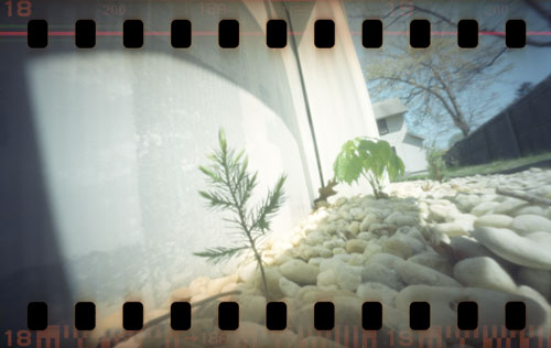 pinhole photograph