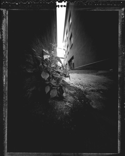 pinhole photograph