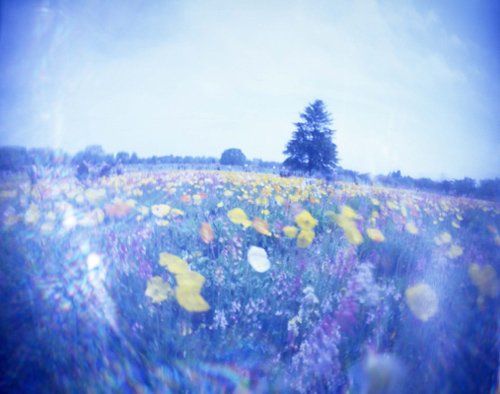 pinhole photograph