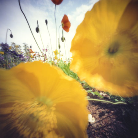 pinhole photograph