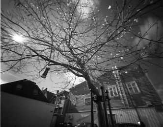pinhole photograph