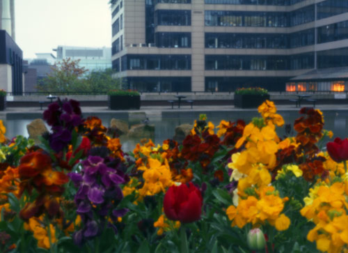 pinhole photograph