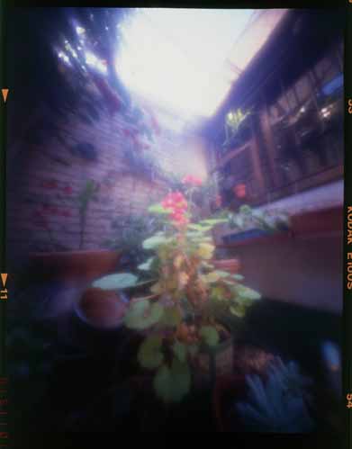 pinhole photograph