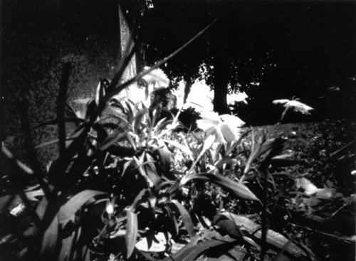 pinhole photograph