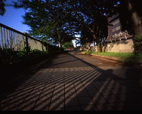 pinhole photograph