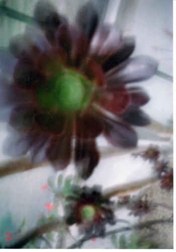 pinhole photograph