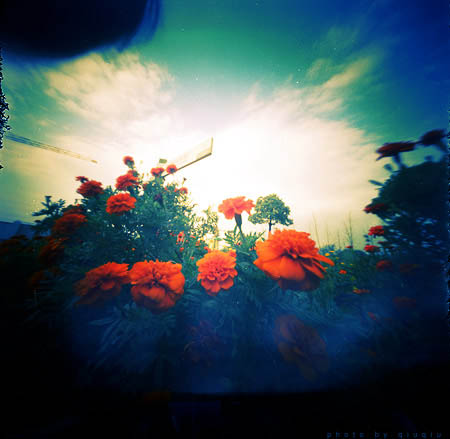 pinhole photograph