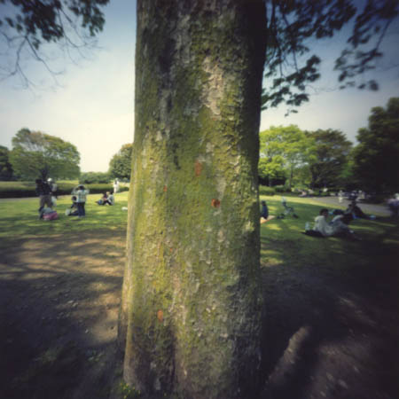 pinhole photograph