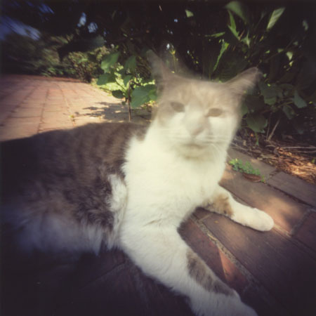 pinhole photograph