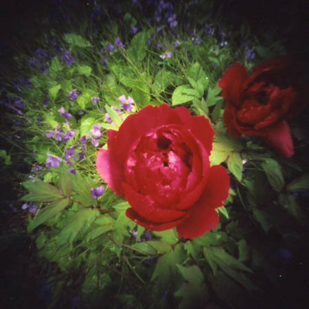 pinhole photograph