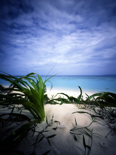 pinhole photograph