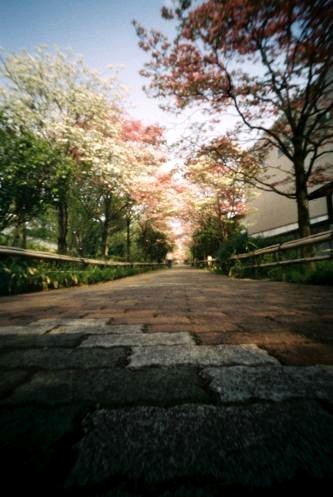 pinhole photograph