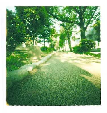 pinhole photograph