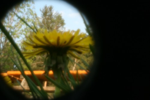 pinhole photograph