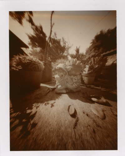 pinhole photograph