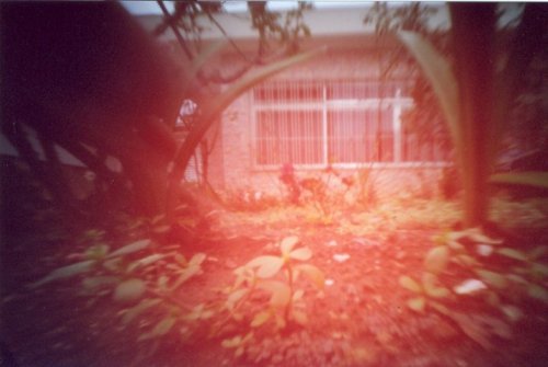 pinhole photograph