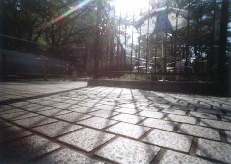 pinhole photograph