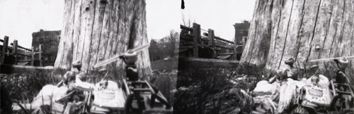 pinhole photograph