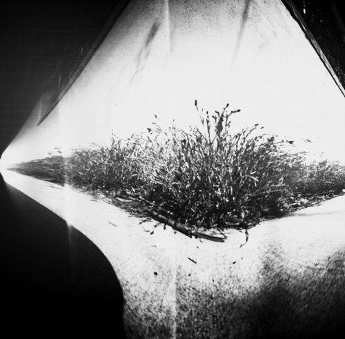 pinhole photograph