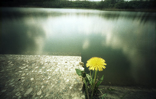 pinhole photograph