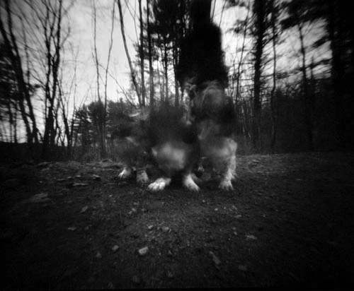 pinhole photograph