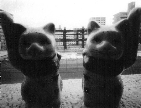 pinhole photograph