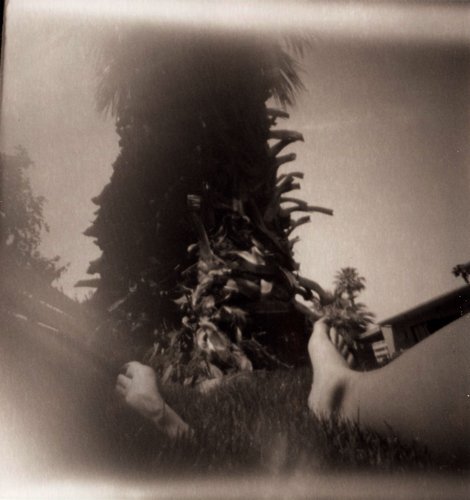 pinhole photograph