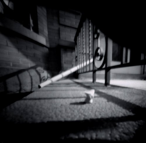 pinhole photograph