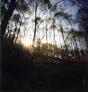 pinhole photograph