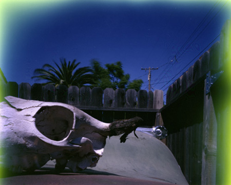 pinhole photograph