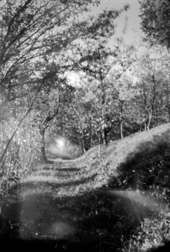pinhole photograph