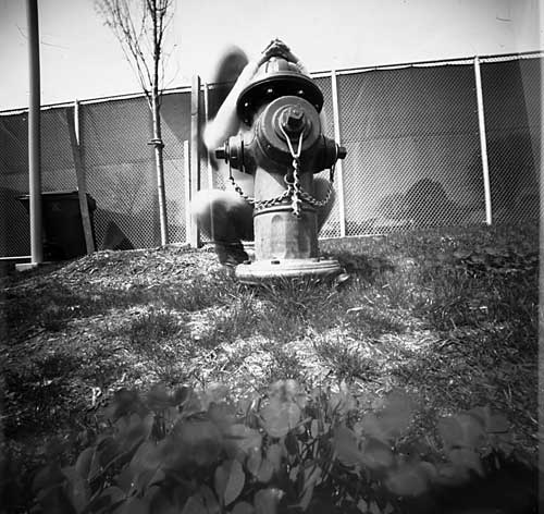 pinhole photograph