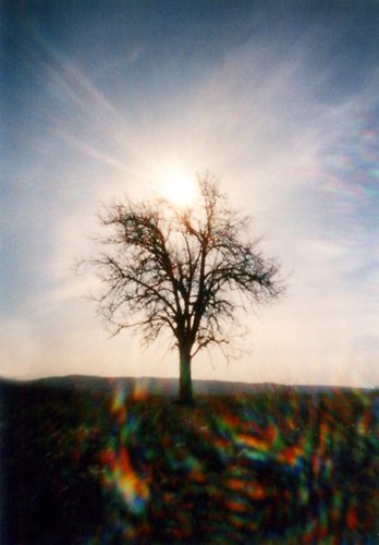 pinhole photograph