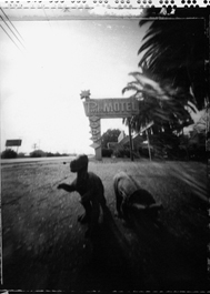 pinhole photograph