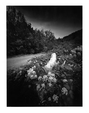 pinhole photograph