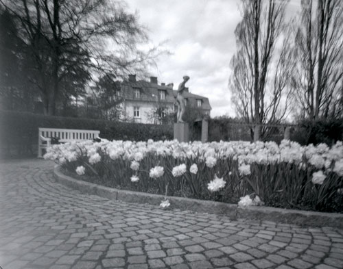 pinhole photograph