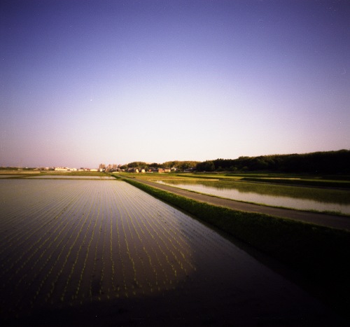 pinhole photograph
