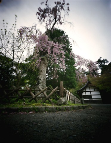 pinhole photograph