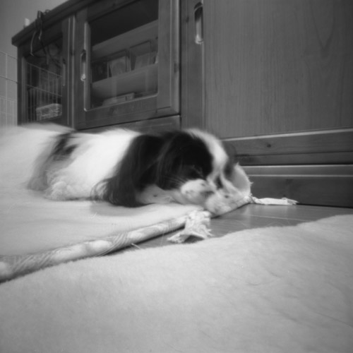 pinhole photograph