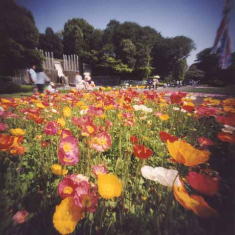 pinhole photograph
