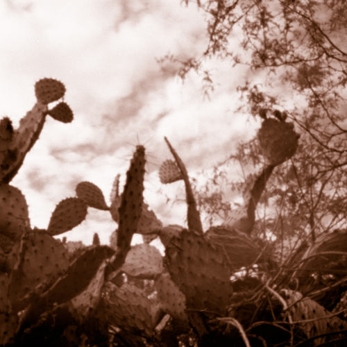 pinhole photograph