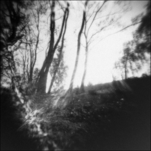 pinhole photograph