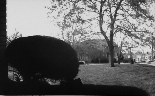 pinhole photograph